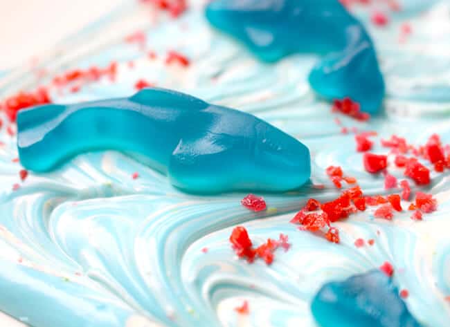 Shark Week Chocolate Ideas