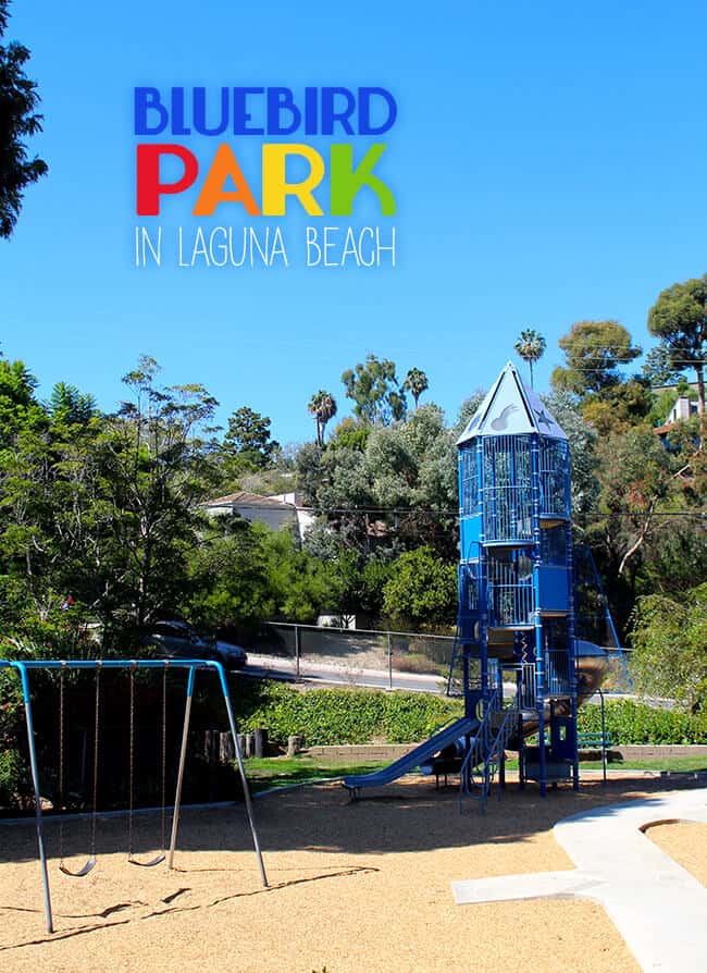 Bluebird Park in Laguna Beach OC