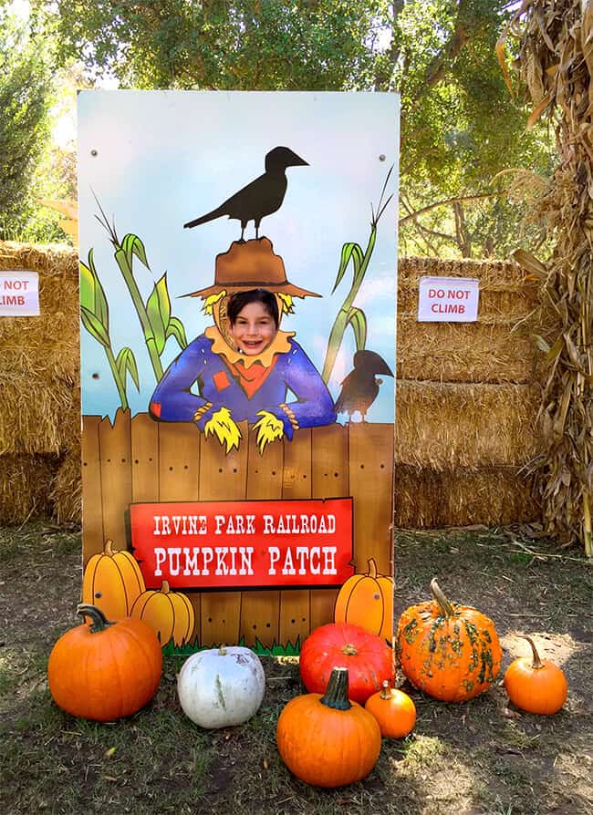 Irvine Park Railroad Pumpkin Patch