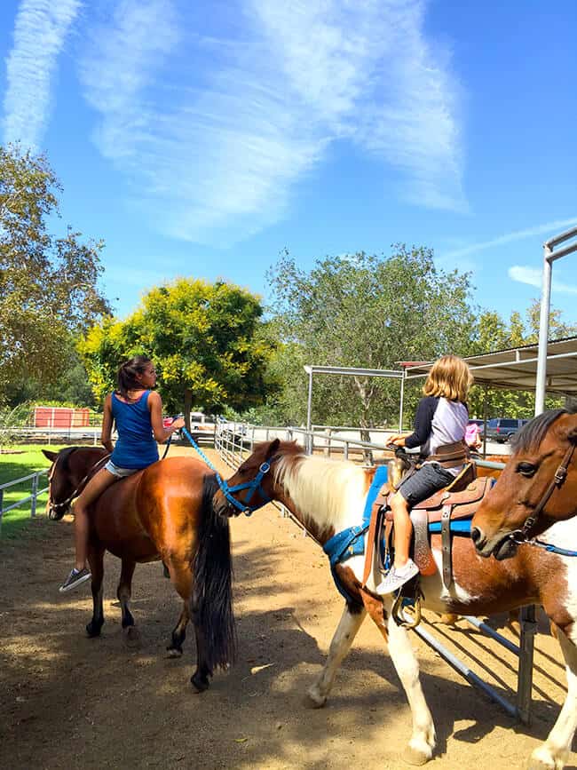 OC Park Horse Riding