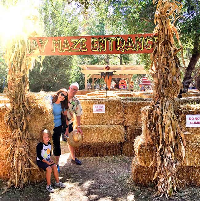 Orange County Hay Maze