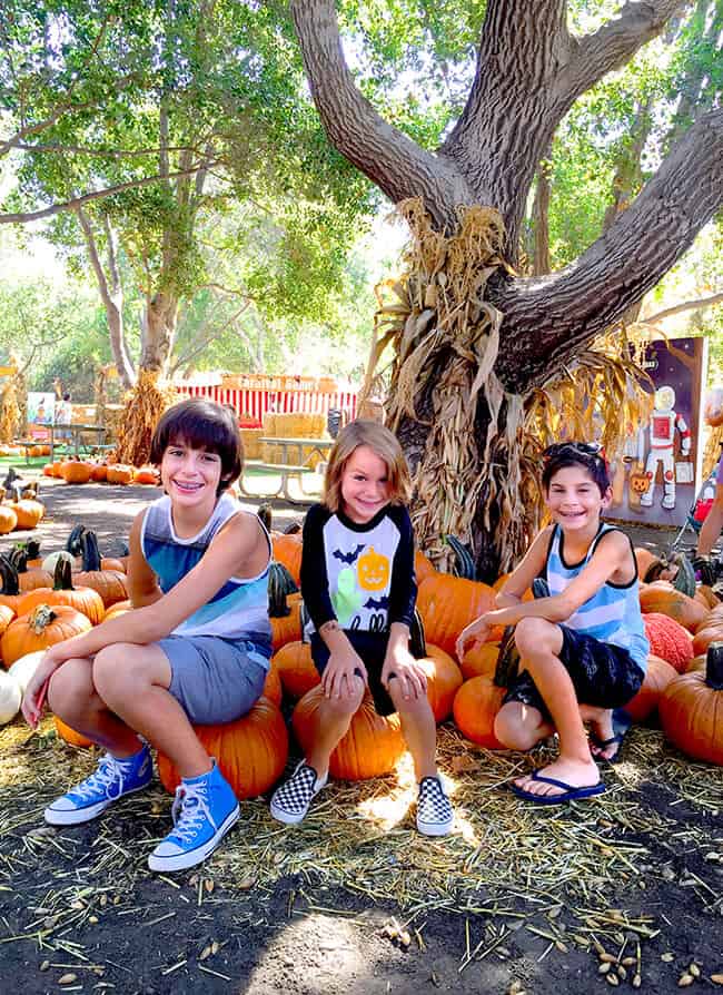 Orange County Pumpkin patches