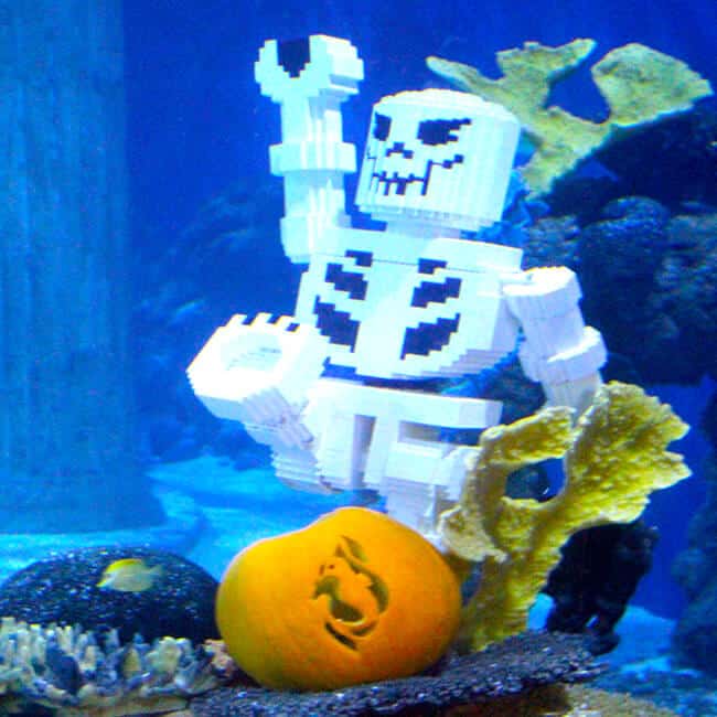 Sealife Halloween Brick or treat