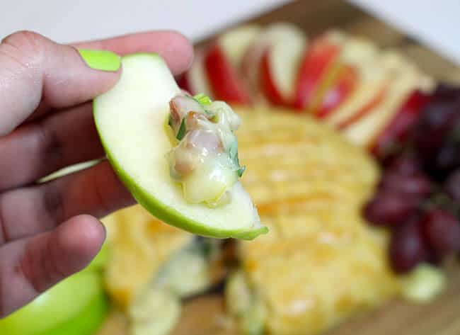 Brie Appetizer Recipe