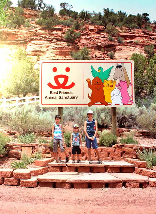 Popsicle Blog Road Trip Best Friends Animal Sanctuary Popsicle Blog