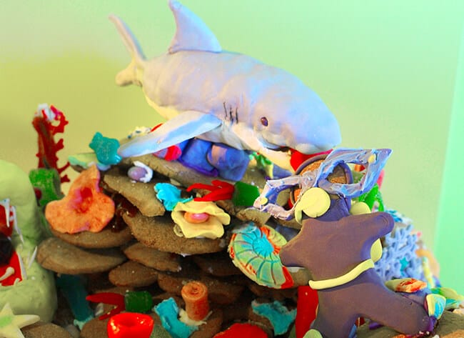 Discovery Cube Gingerbread House Shark