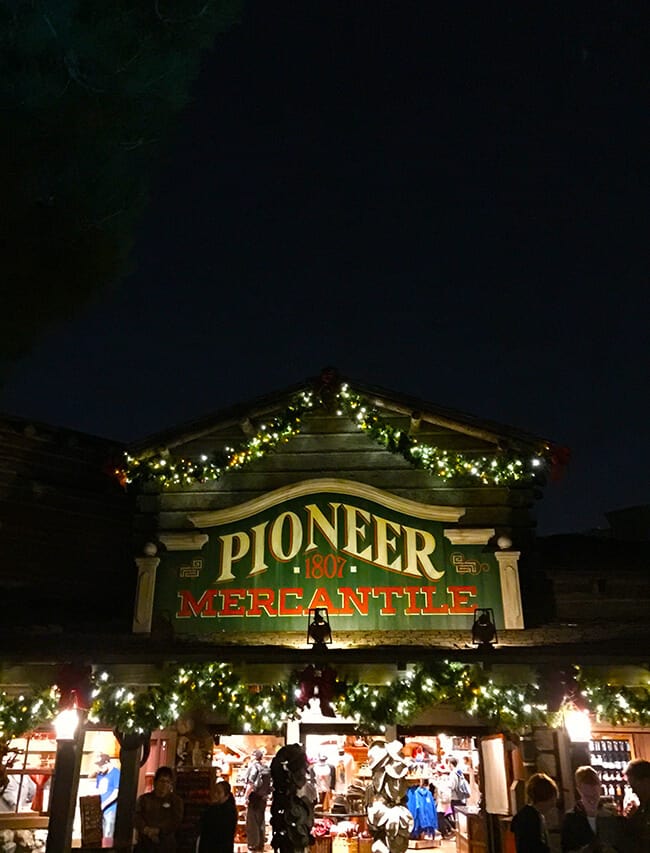 Disneyland Christmas Mercantile at Night