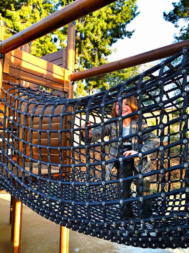 Irvine Adventure Playground Rope Bridge