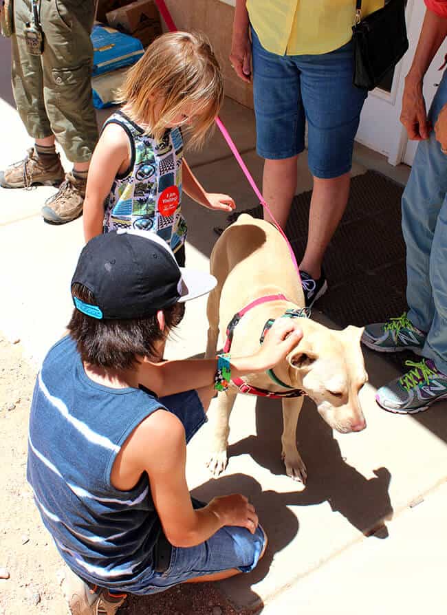 Playing with the Dogs at Best Friends