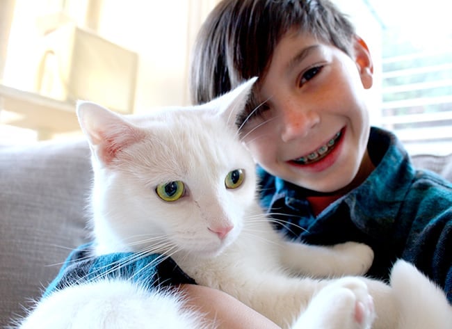 Boy Hugging a Kitty