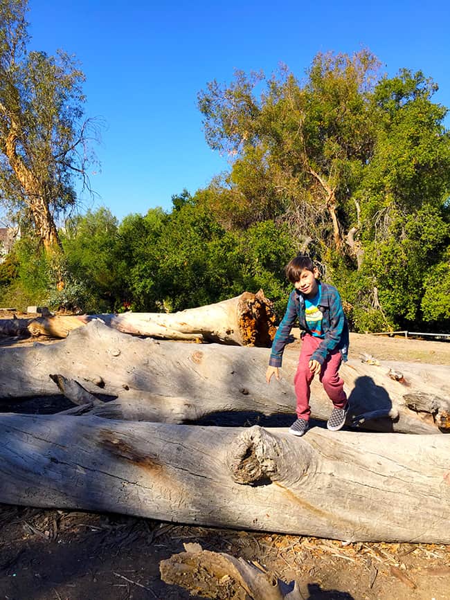 Exploring Santiago Creek Park in Orange County