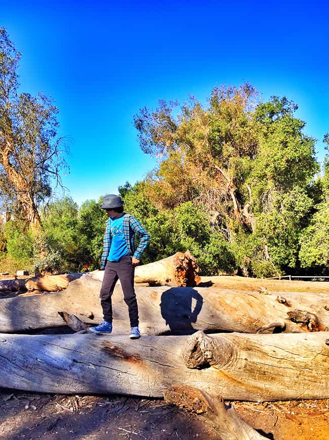 Exploring Santiago Creek Park