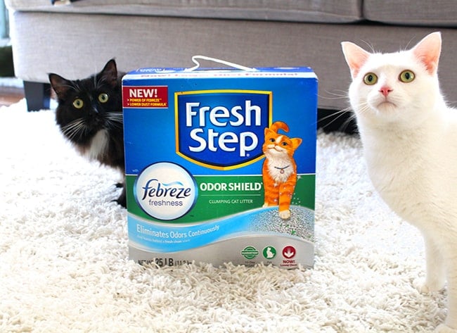 Fresh Step Odor Shield