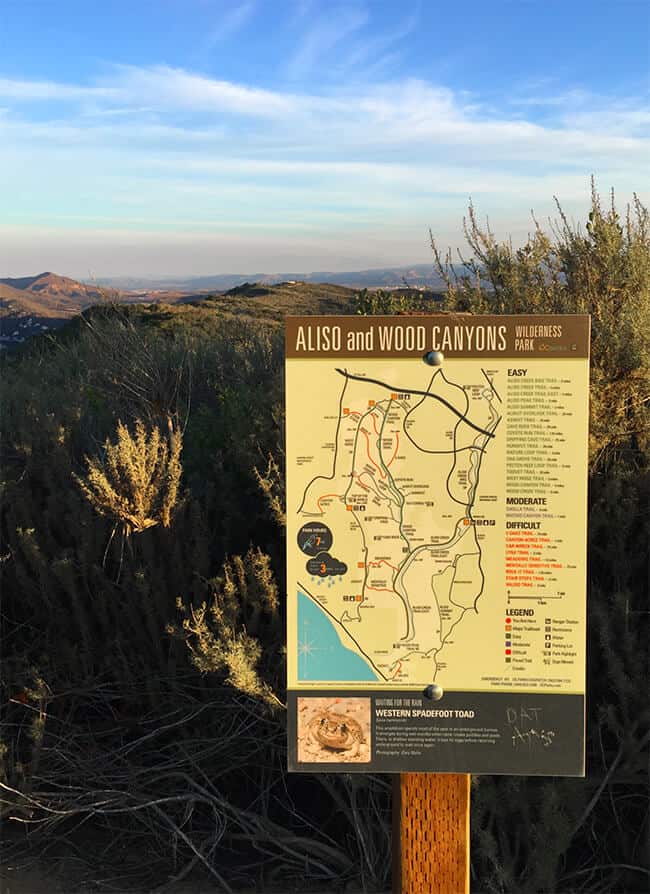 Hiking in Aliso Viejo