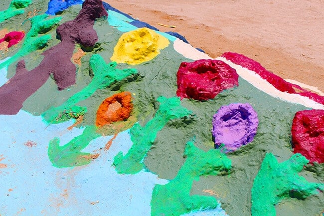 Salvation Mountain Flowers