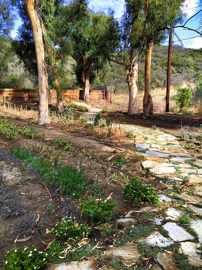 The Garden at the Ranch in Laguna Beach