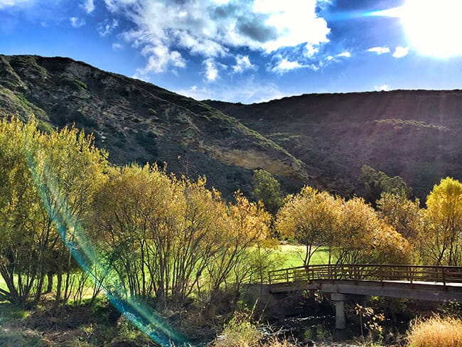 The Ranch at Laguna Beach View