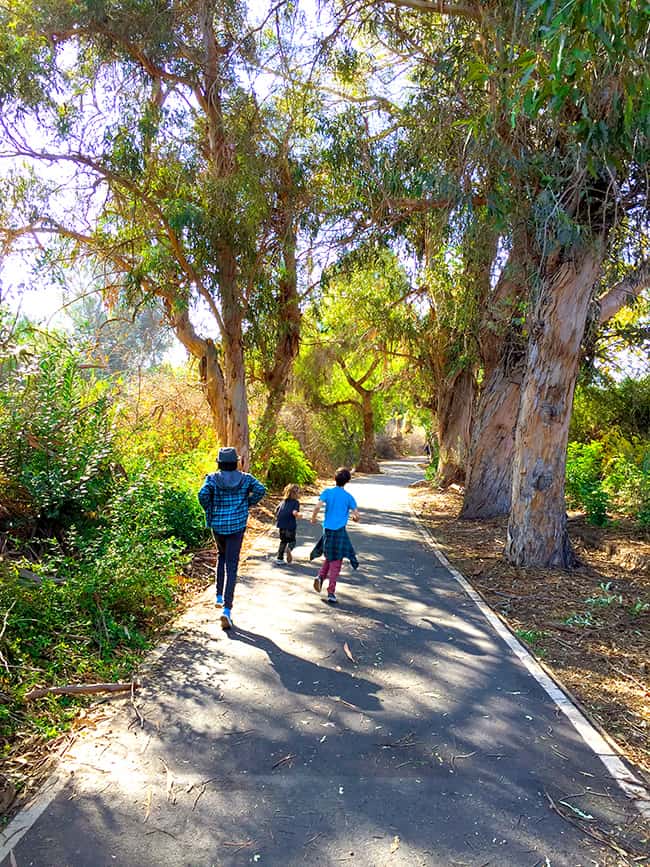 Trails at Santiago Park