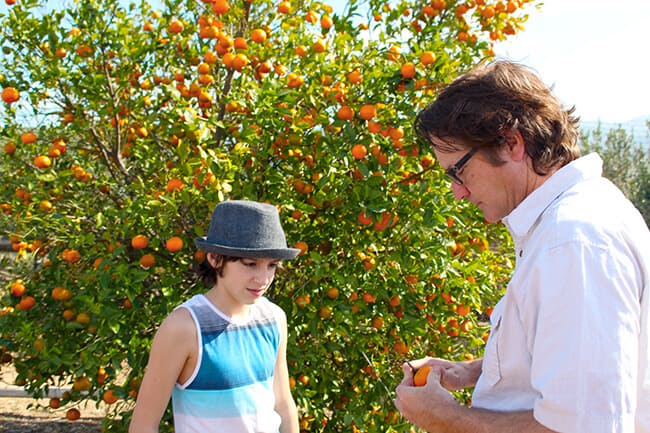 Dad Peeling and Orange