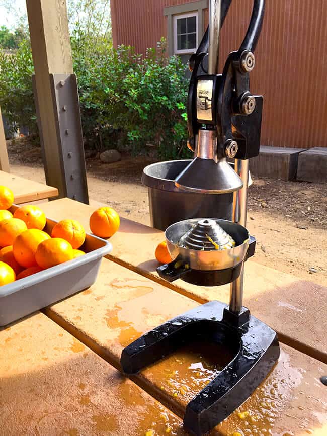 Fresh Squeezed OJ in Orange County