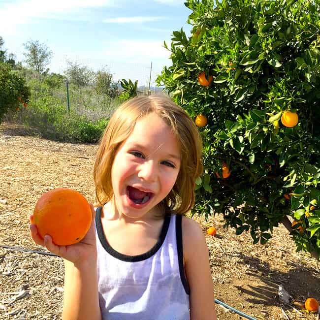 Vann Parkin in an Orange Grove