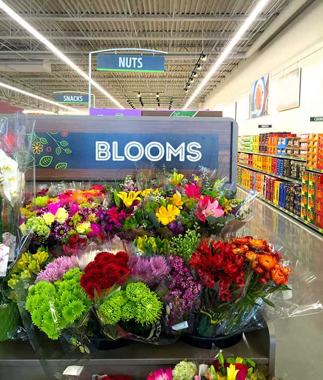 ALDI Blooms