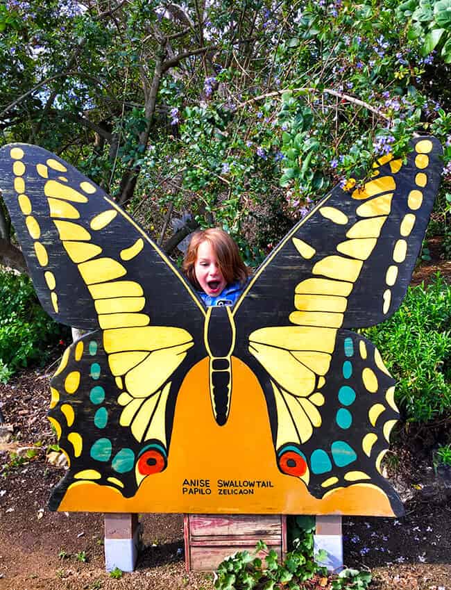 Childrens Garden in SC Botanic Garden