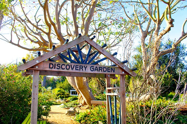 Discovery Garden at South Coast Botanic Garden