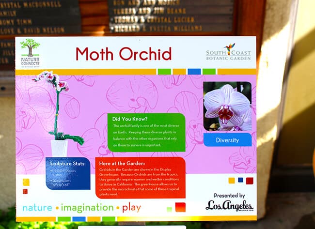Moth Orchid Lego