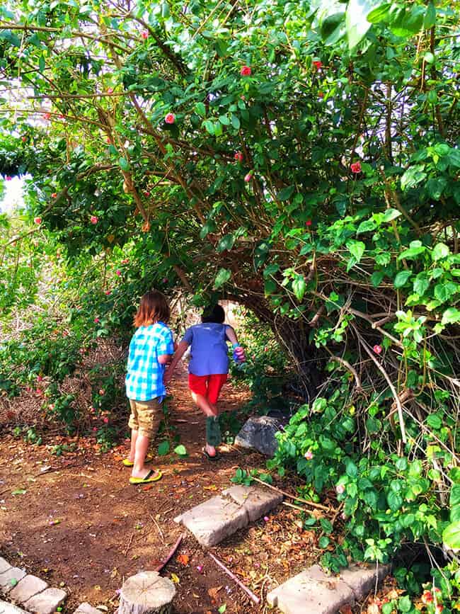 South Coast Botanic Garden Childrens Garden