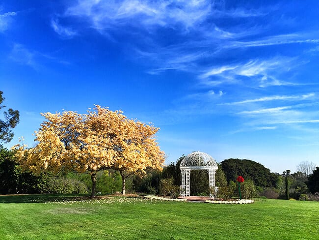 South Coast Botanic Garden Gazebo