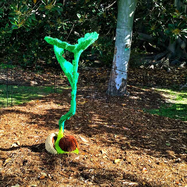 South Coast Botanic Garden Lego Display