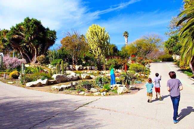 South Coast Botanic Garden in Palos Verdes