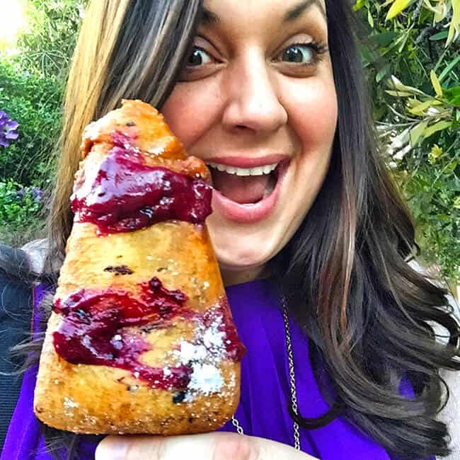 The Fun Stick at Knott's Berry Farm Boysenberry Festival