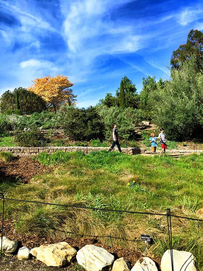 Walking in South Coast Botanic Garden