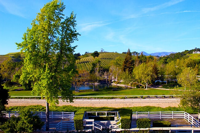 Bridlewood Estates Winery Race Track