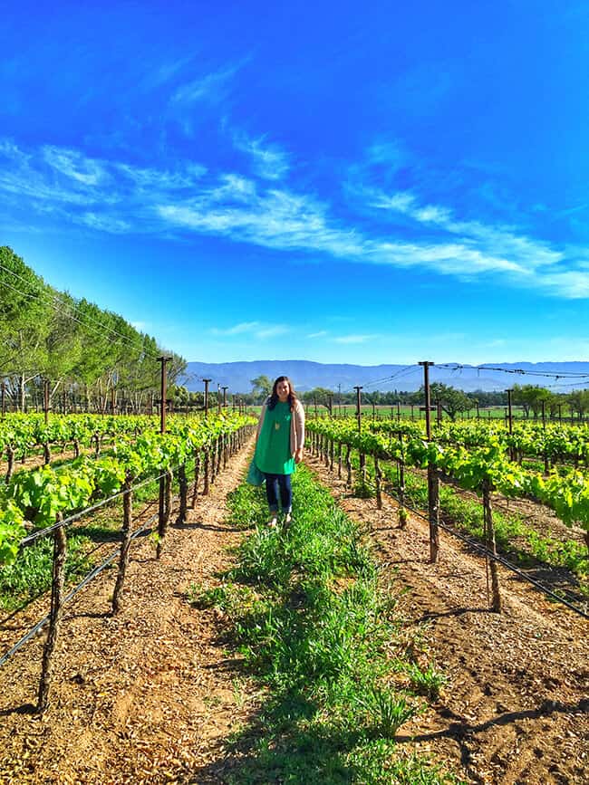 Popsicle Blog Standing in a Grape Vineyard