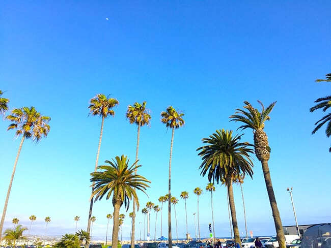 Balboa Beach State Beach