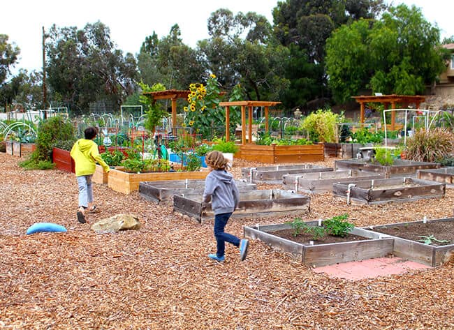 Children Running in a Garden