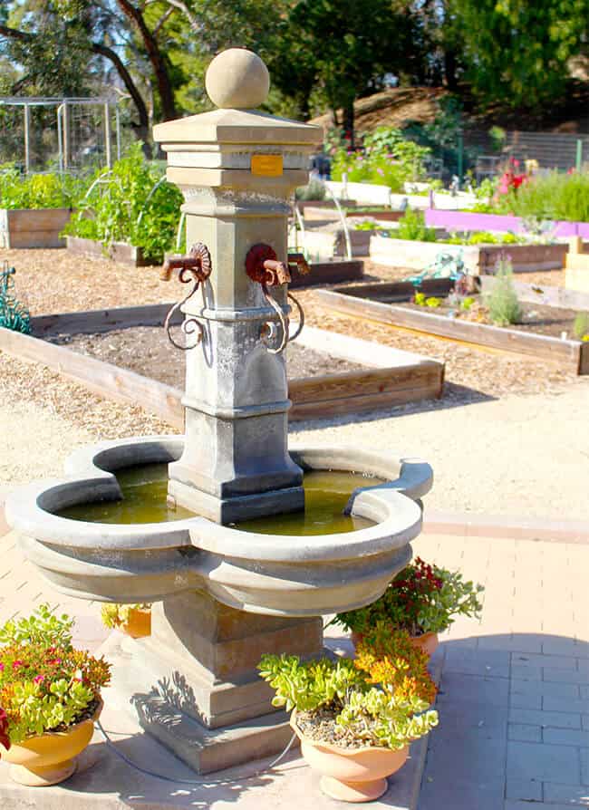 Fountain in the Garden