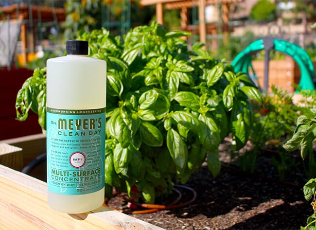 Meyer's Clean Day Basil Cleaner