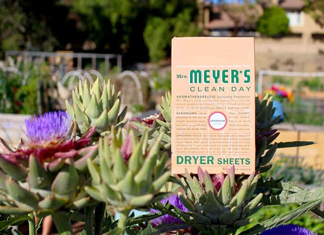 Meyer's Clean Day Dryer Sheets