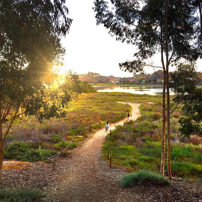 Carlsbad Wetlands