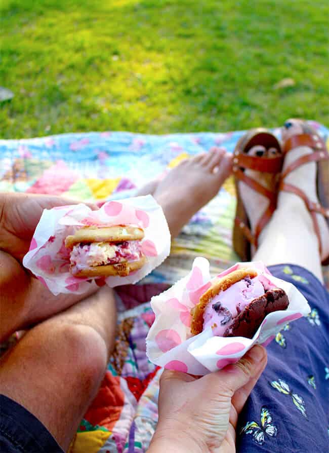 Ice Cream Sanwiches from Baskin Robbins