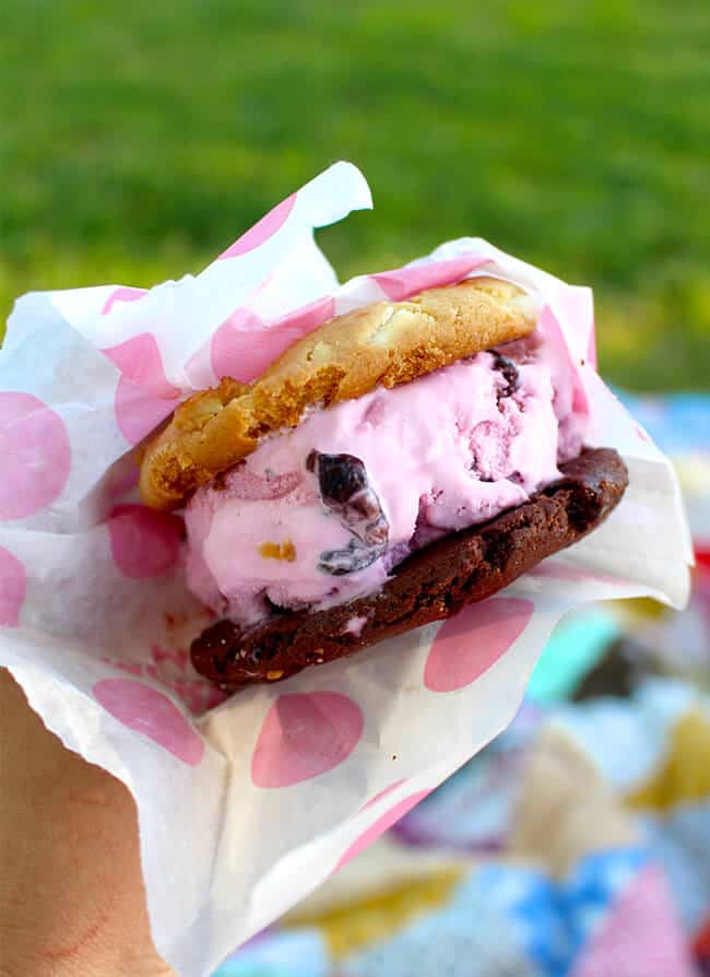 Warm and Yummy Ice Cream Sandwiches