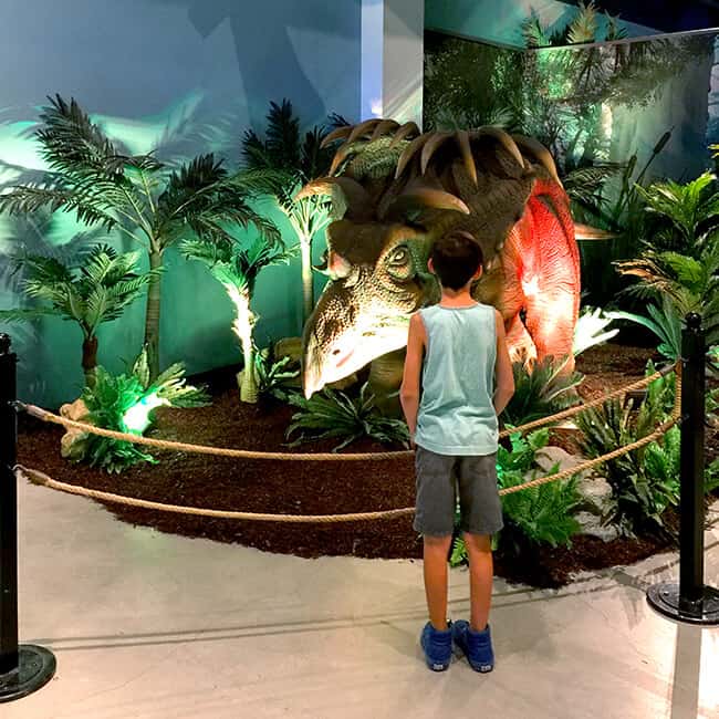 Dinos at the Cube