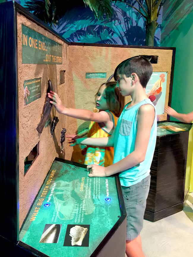 Dinosaur Education at Discovery Science Center