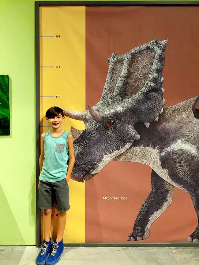 Discovery Cube Dinosaur Exhibit Review