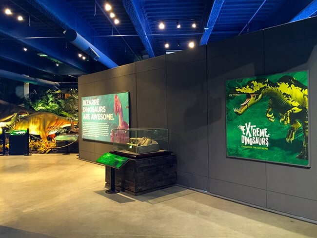 Extreme Dinosaurs at Discovery Cube