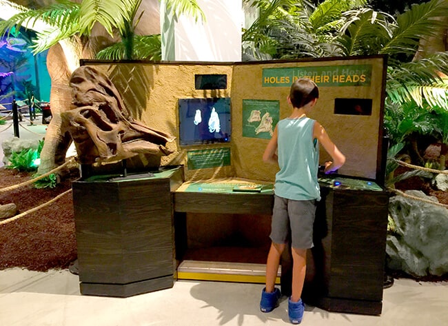 Interactive Dinosaur Exhibit in Orange County